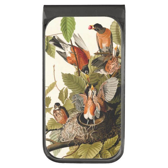 Audubon American Robin Wildlife Bird Illustration Gunmetal Finish Money Clip (Front Vertical)