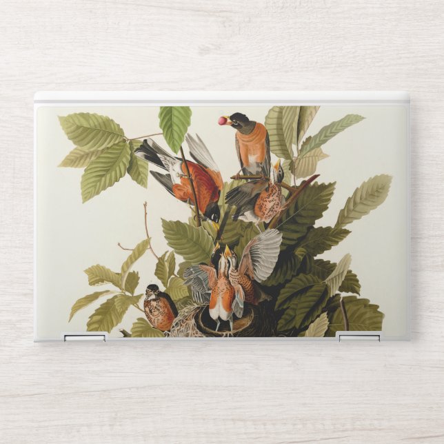 Audubon American Robin Wildlife Bird Illustration HP Laptop Skin (Front)