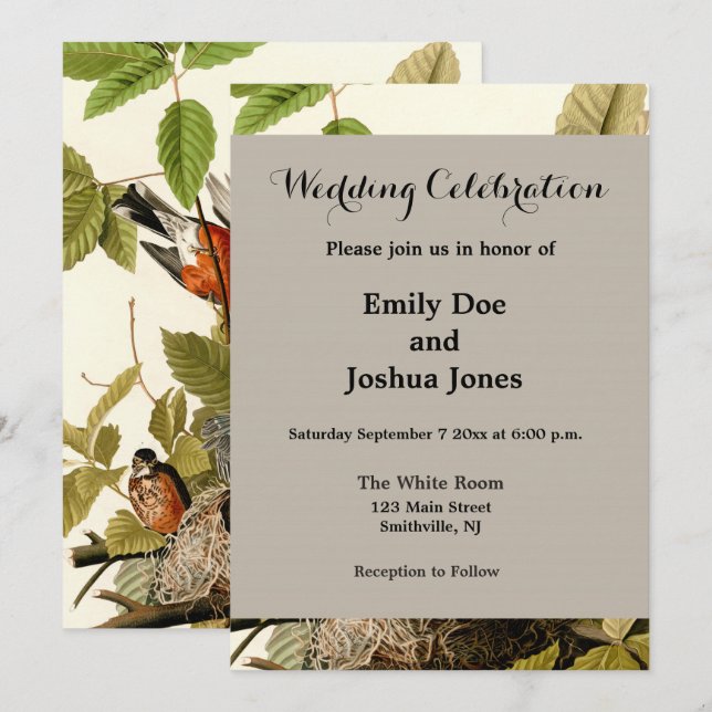 Audubon American Robin Wildlife Bird Illustration Invitation (Front/Back)