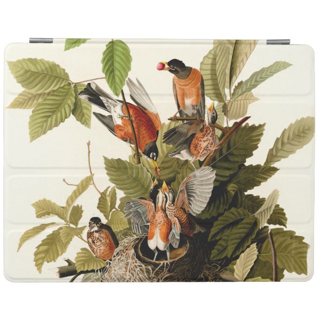 Audubon American Robin Wildlife Bird Illustration iPad Smart Cover (Horizontal)