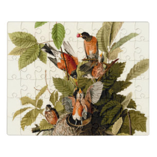 Audubon American Robin Wildlife Bird Illustration Jigsaw Puzzle