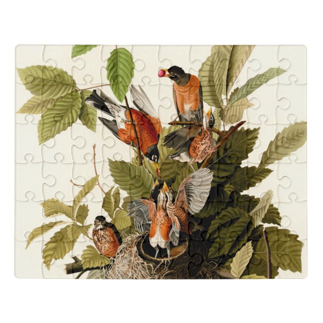 Audubon American Robin Wildlife Bird Illustration Jigsaw Puzzle (Puzzle Horizontal)