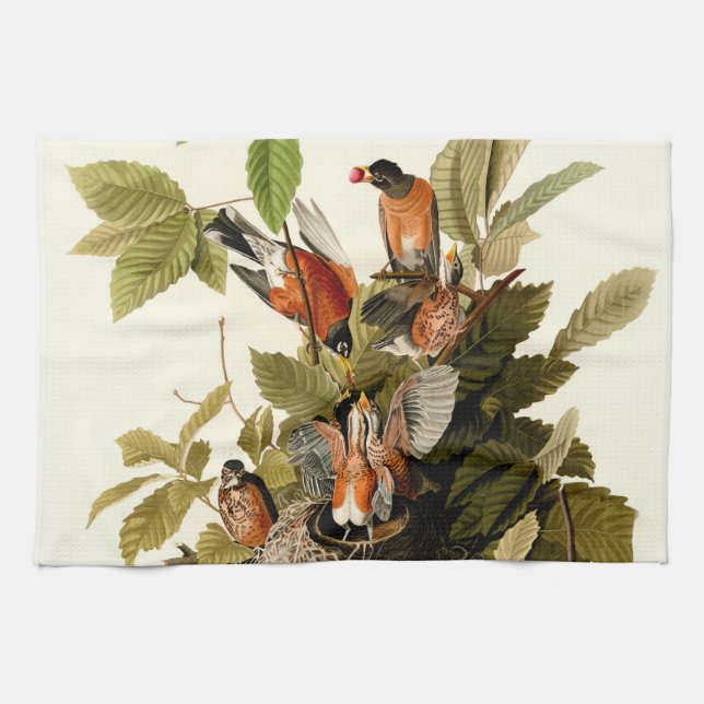 Audubon American Robin Wildlife Bird Illustration Kitchen Towel (Horizontal)