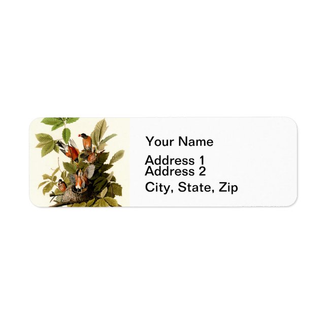 Audubon American Robin Wildlife Bird Illustration Label (Front)