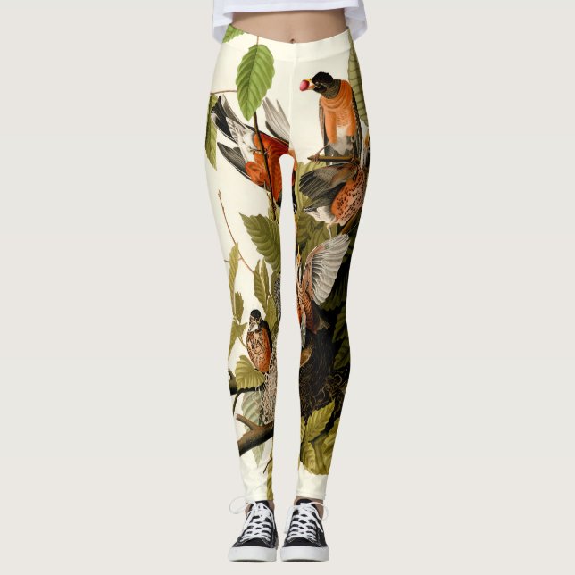 Audubon American Robin Wildlife Bird Illustration Leggings (Front)