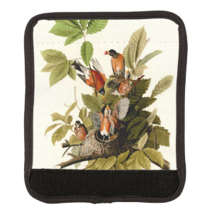Audubon American Robin Wildlife Bird Illustration Luggage Handle Wrap