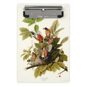 Audubon American Robin Wildlife Bird Illustration Mini Clipboard