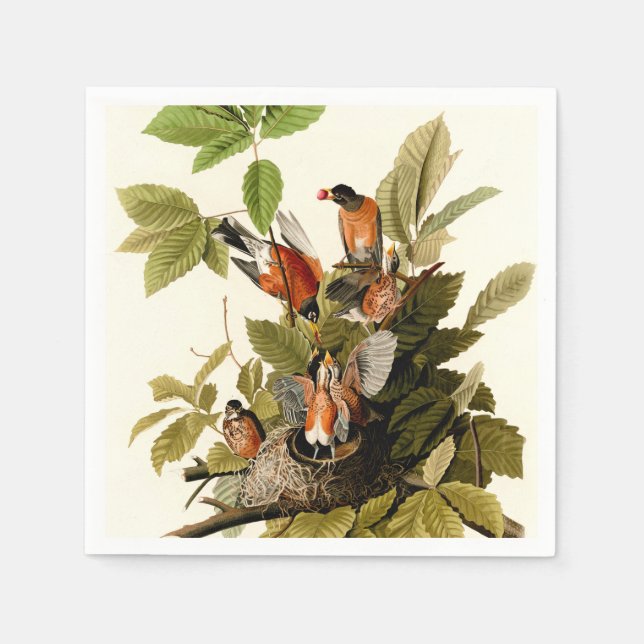 Audubon American Robin Wildlife Bird Illustration Napkins (Front)