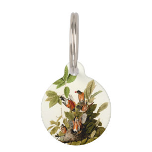 Audubon American Robin Wildlife Bird Illustration Pet ID Tag