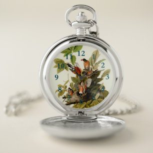 Audubon American Robin Wildlife Bird Illustration Pocket Watch