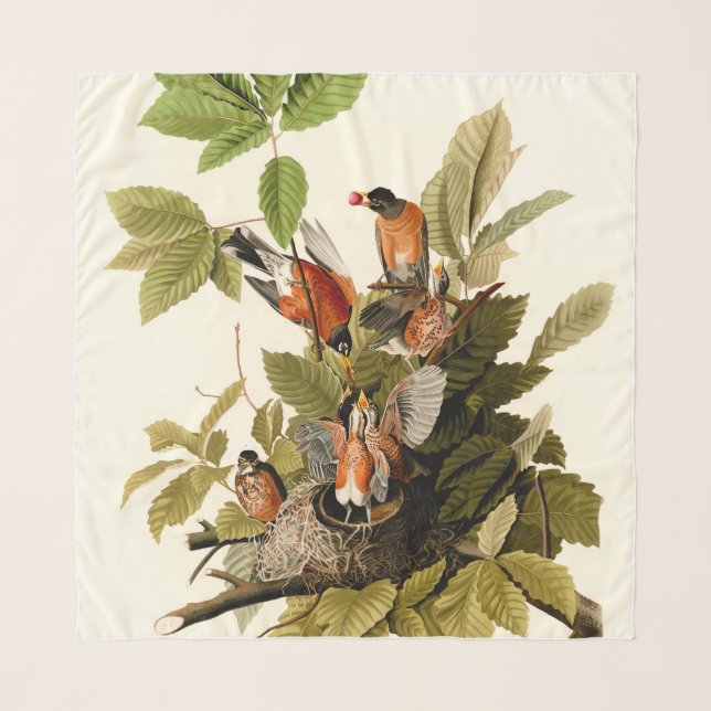 Audubon American Robin Wildlife Bird Illustration Scarf (Front)
