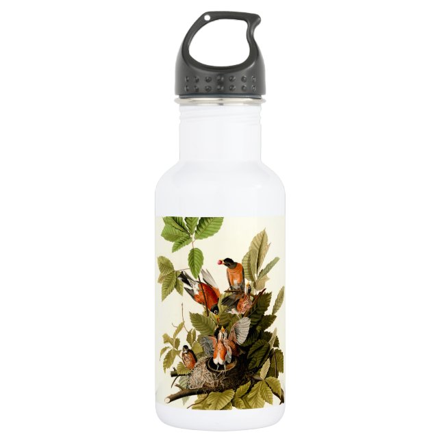 Audubon American Robin Wildlife Bird Illustration Stainless Steel Water Bottle (Front)