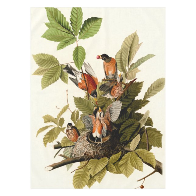 Audubon American Robin Wildlife Bird Illustration Tablecloth (Front)