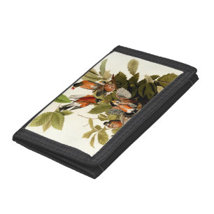 Audubon American Robin Wildlife Bird Illustration Tri-fold Wallet