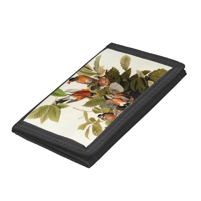 Audubon American Robin Wildlife Bird Illustration Trifold Wallet (Bottom)