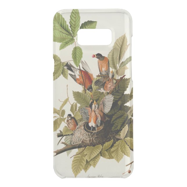 Audubon American Robin Wildlife Bird Illustration Uncommon Samsung Galaxy Case (Back)