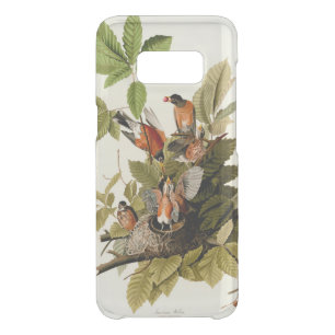 Audubon American Robin Wildlife Bird Illustration Uncommon Samsung Galaxy S8 Case