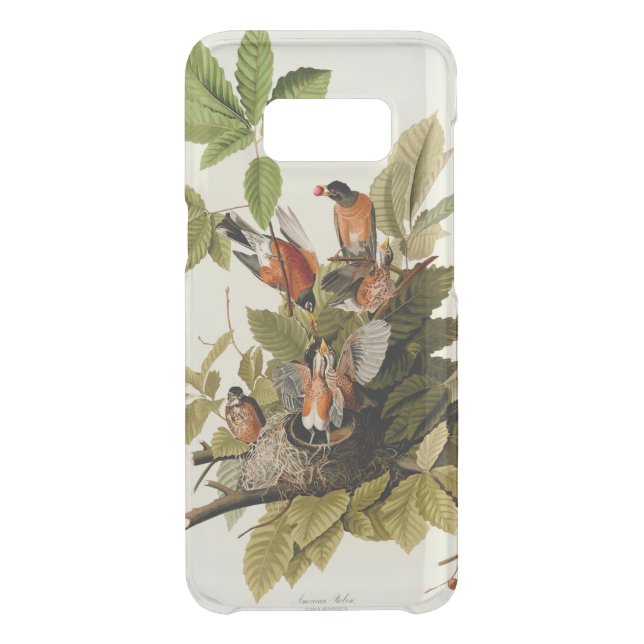 Audubon American Robin Wildlife Bird Illustration Uncommon Samsung Galaxy Case (Back)