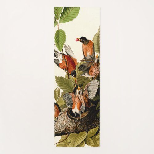 Audubon American Robin Wildlife Bird Illustration Yoga Mat