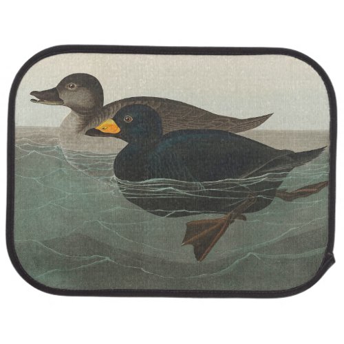 Audubon American Scoter Duck  Car Floor Mat