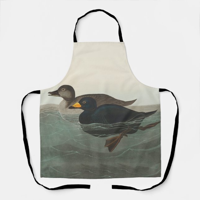 Audubon American Scoter Duck Classic Apron (Front)
