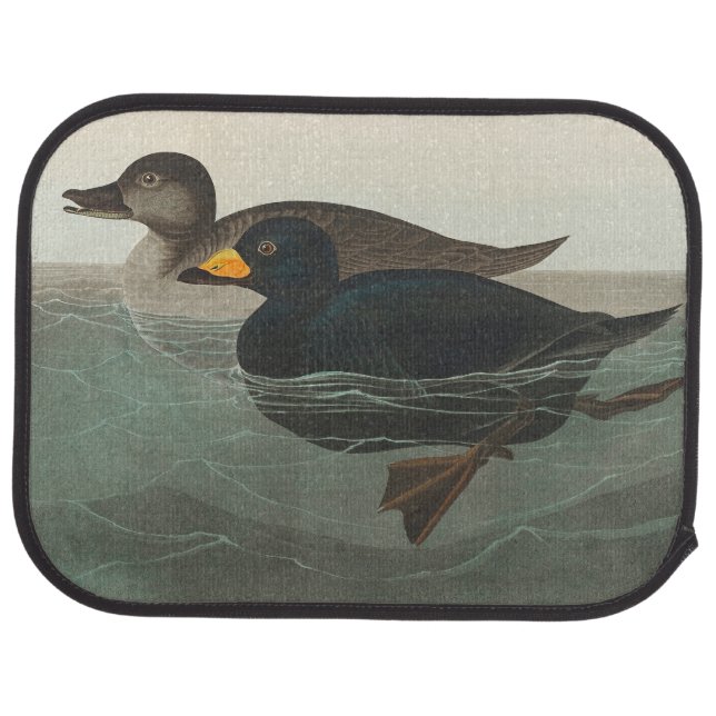 Audubon American Scoter Duck Classic Car Floor Mat (Rear)