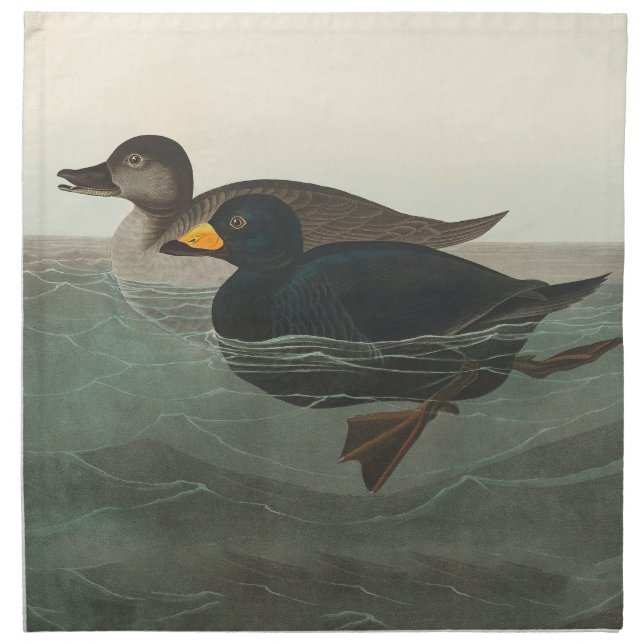 Audubon American Scoter Duck Classic Cloth Napkin (Front)