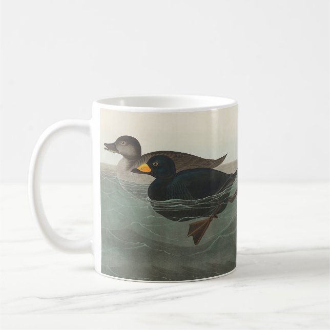 Audubon American Scoter Duck Classic Coffee Mug (Left)