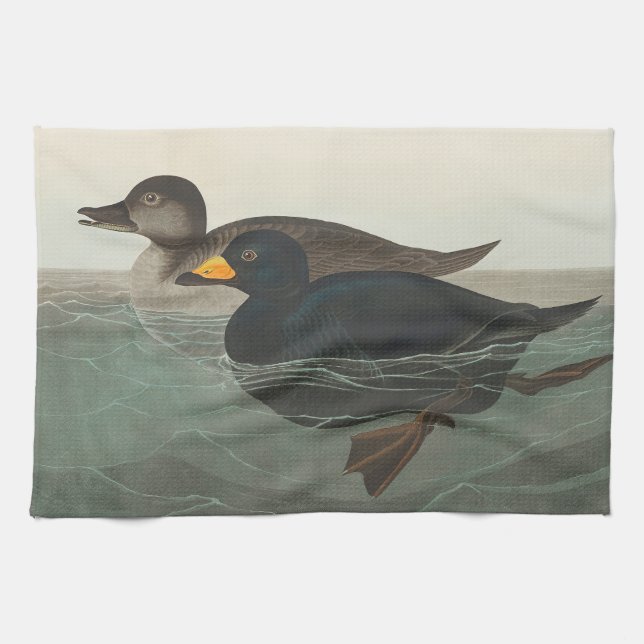Audubon American Scoter Duck Classic Kitchen Towel (Horizontal)