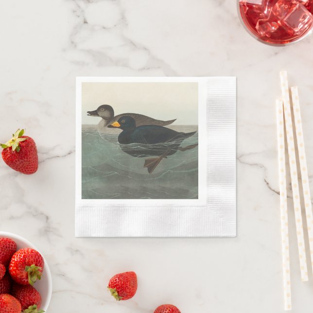 Audubon American Scoter Duck Classic Napkins (Insitu)