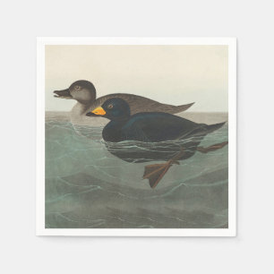 Audubon American Scoter Duck Classic Napkins