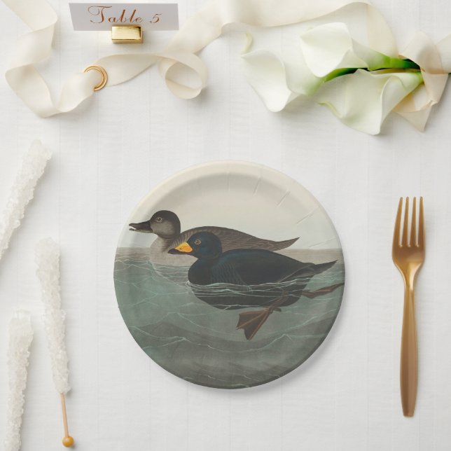 Audubon American Scoter Duck Classic Paper Plates (Wedding)