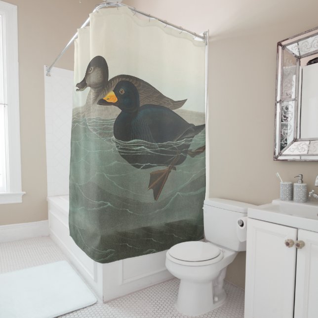 Audubon American Scoter Duck Classic Shower Curtain (In Situ)