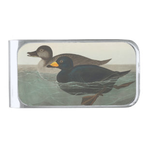 Audubon American Scoter Duck Classic Silver Finish Money Clip