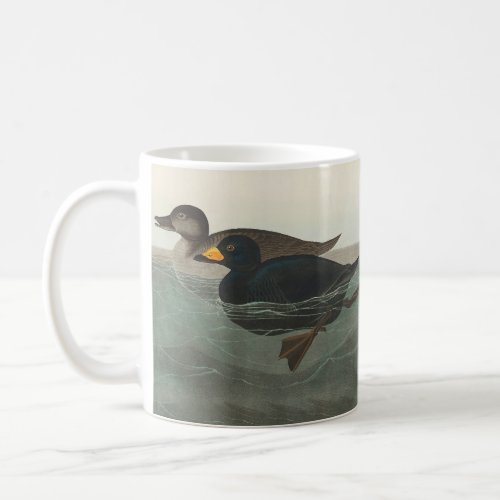 Audubon American Scoter Duck  Coffee Mug