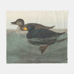 Audubon American Scoter Duck  Fleece Blanket