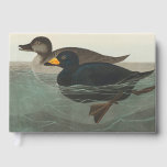 Audubon American Scoter Duck  Guest Book
