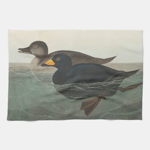Audubon American Scoter Duck  Kitchen Towel