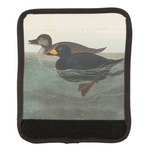 Audubon American Scoter Duck  Luggage Handle Wrap