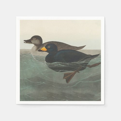 Audubon American Scoter Duck  Napkins