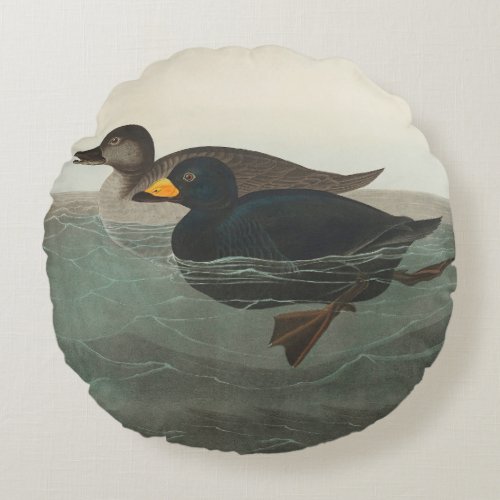 Audubon American Scoter Duck  Round Pillow