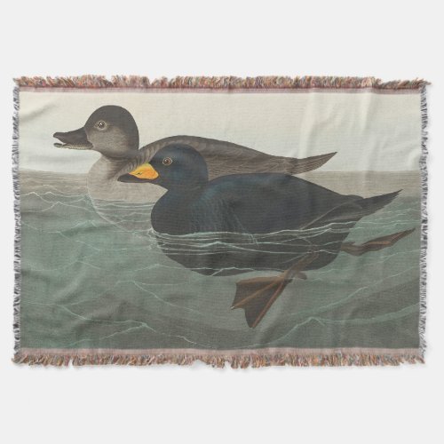Audubon American Scoter Duck  Throw Blanket