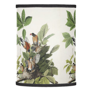 Audubon American Spring Robin Bird Illustration Lamp Shade