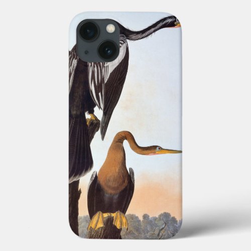 Audubon Anhinga iPhone 13 Case