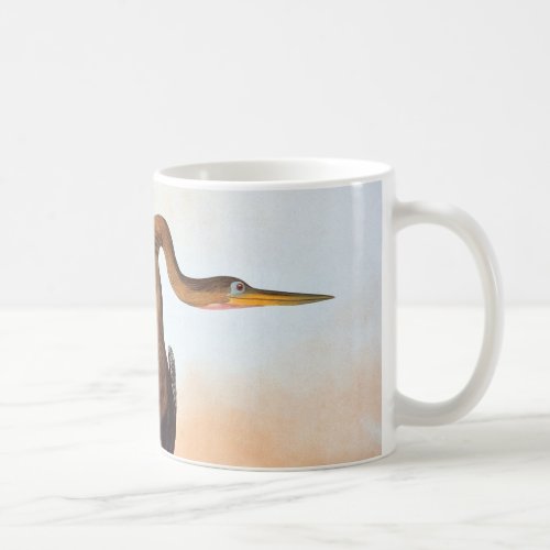 Audubon Anhinga Coffee Mug