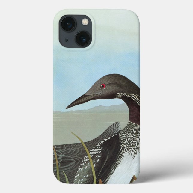 Audubon: Arctic Loon Case-Mate iPhone Case (Back)