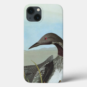 Audubon: Arctic Loon iPhone 13 Case
