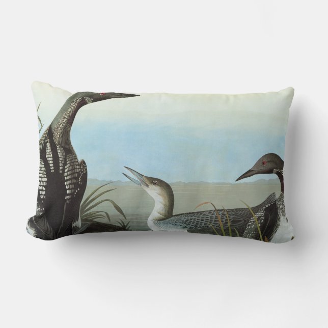 Audubon: Arctic Loon Lumbar Pillow (Front)