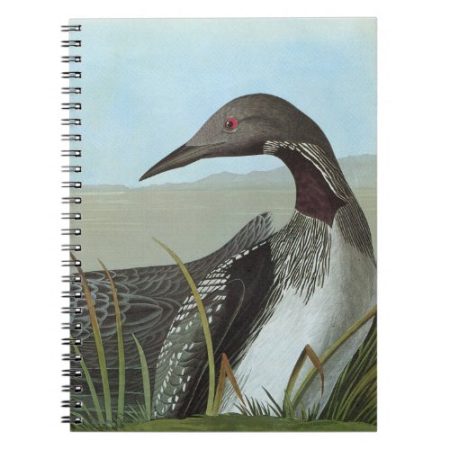 Audubon Arctic Loon Notebook