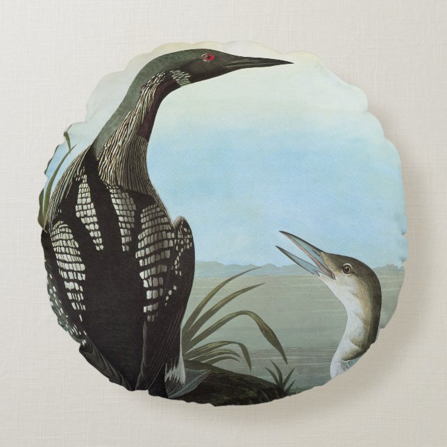 Audubon: Arctic Loon Round Pillow (Front)